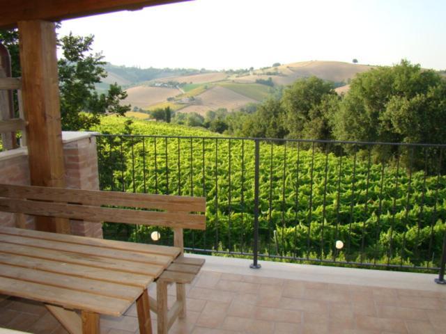 Agriturismo Vecchio Gelso Ortezzano Экстерьер фото