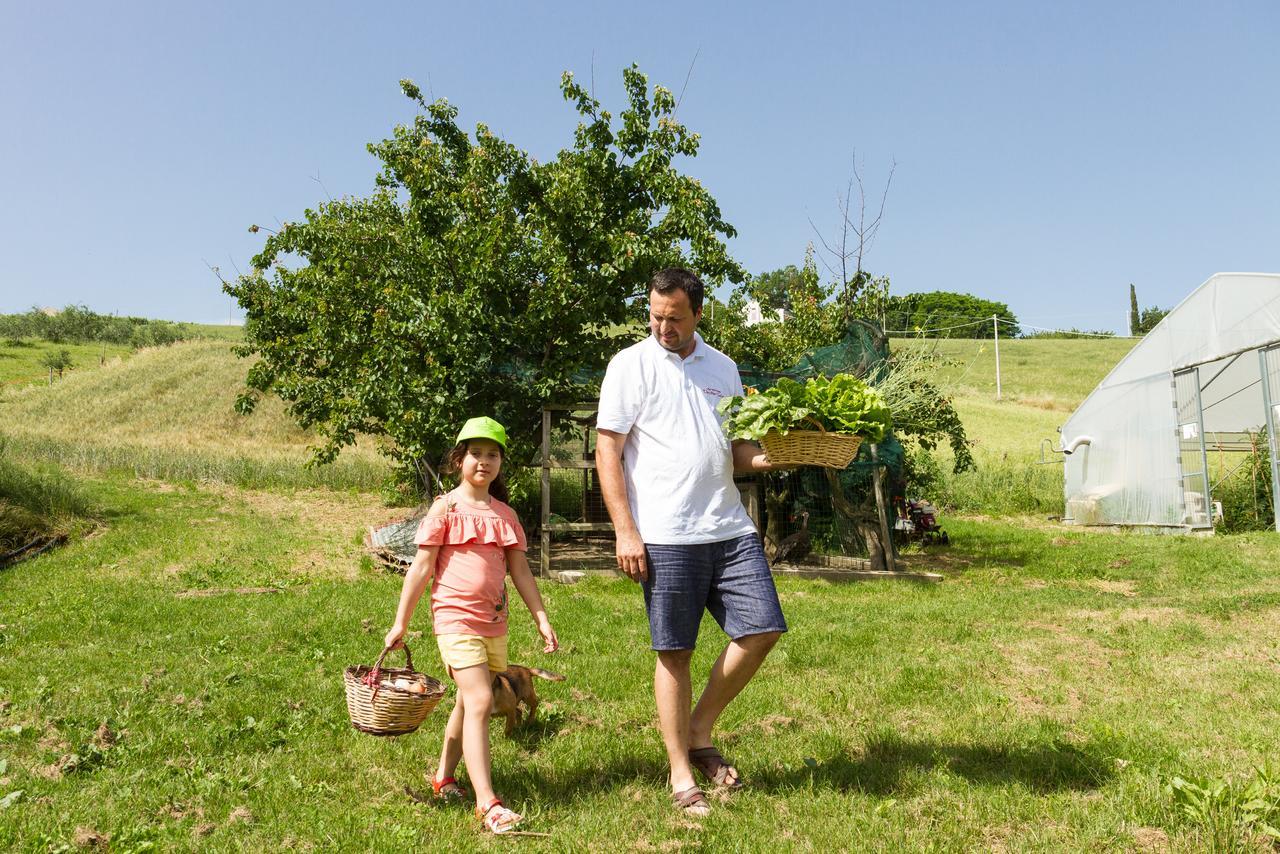 Agriturismo Vecchio Gelso Ortezzano Экстерьер фото